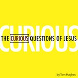 The Curious Questions Of Jesus