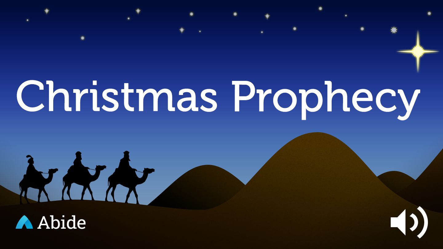 a christmas prophecy devotional theres much more to the christmas christmas prophecies