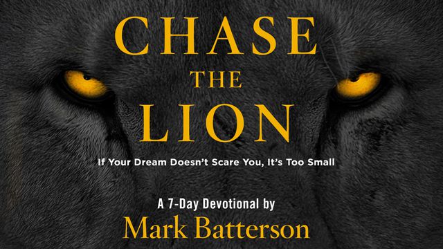 Chase the Lion